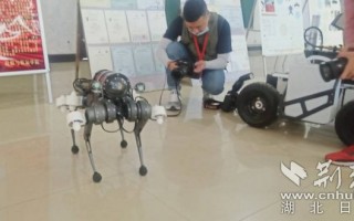 卖儿童小足球直播违法吗，卖儿童小足球直播违法吗知乎